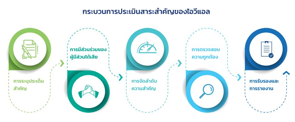 Materiality Assessment Process at IVL